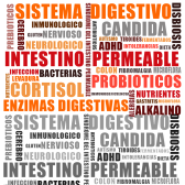 Sanando El Intestino Permeable