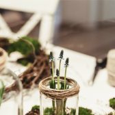 Cómo Reducir la Toxicidad en el Cuerpo