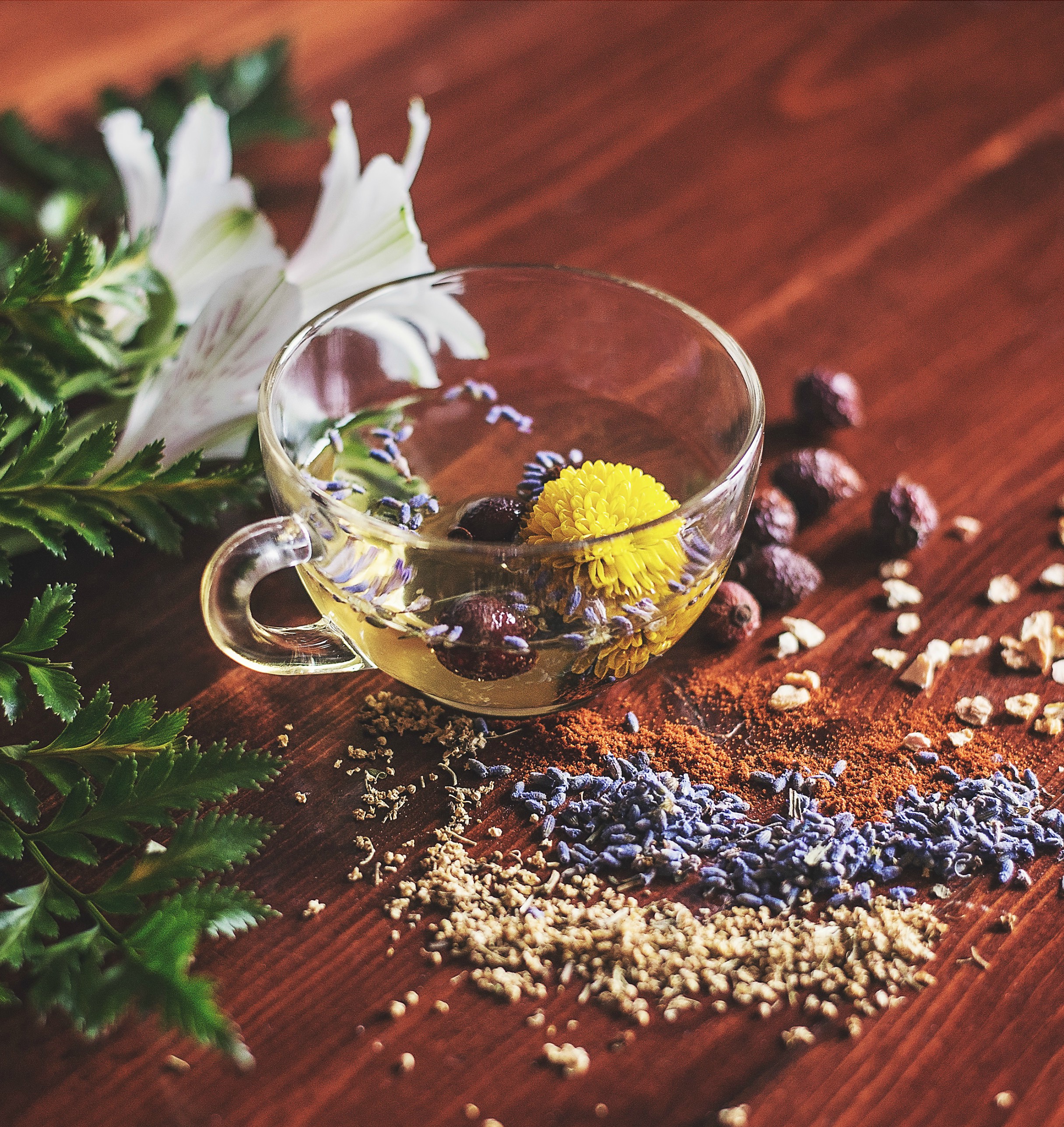 11 Hierbas Antimicóticas para Ayudar a Vencer la Cándida