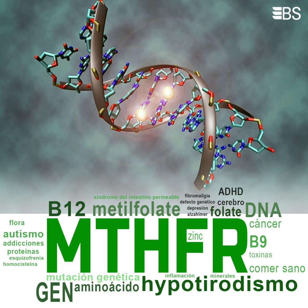 Mutaciones del Gen MTHFR C677T y MTHFR A1298C