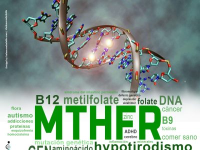 MTHFR es un gen esencial para la producción de una enzima llamada metilentetrahidrofolato