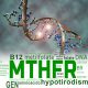 MTHFR es un gen esencial para la producción de una enzima llamada metilentetrahidrofolato