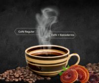 Café Regular vs Café con Ganoderma. Beneficios y Diferencias