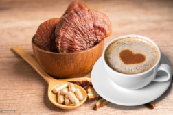 Formas y presentaciones del Ganoderma Lucidum: ¿Cómo se puede consumir?