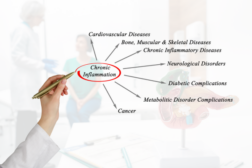 ¿Qué es la inflamación y por qué afecta tu bienestar diario?