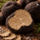 Hongo Trufa: qué es, beneficios y qué dice la ciencia