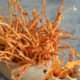 Cordyceps, beneficios, para qué sirve y cómo consumirlo